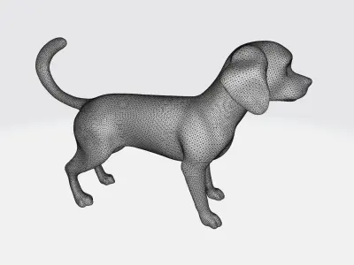 3d Model Asian Young Cute Beagle Dog High Resolution 3D model