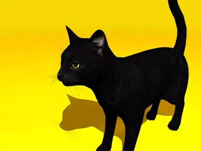 Cat Rigged and GIFT Low-poly 3D model