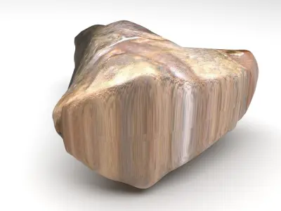 Triceratops Tooth 3D model