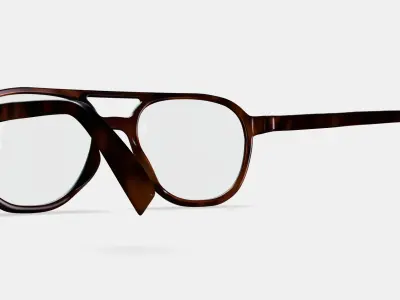 Fielder Eyeglasses in Cognac Tortoise Matte 3D model