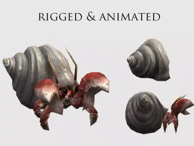 animated Hermit crab Low-poly 3D model