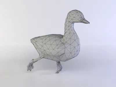 Duck Female Low-poly 3D model
