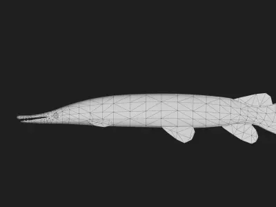 Gar fish Low-poly 3D model