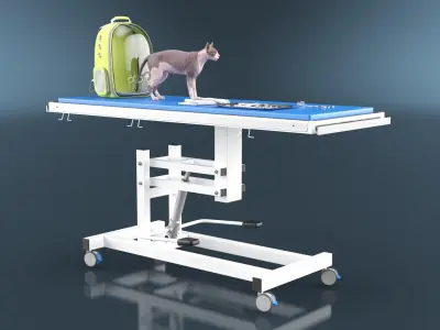 Veterinary Examination 3D model