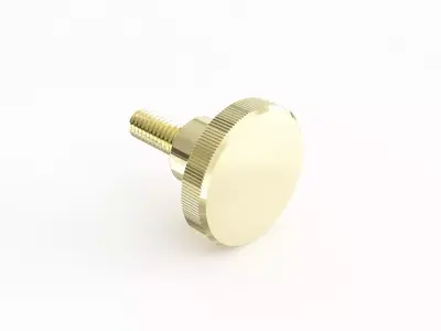 Screw 59 3D model