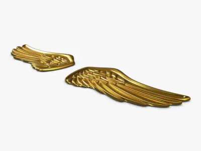 Eagle Wings Gold v 1 3D model