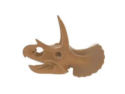 Realistic Triceratops Dinosaur Skull 3D print model
