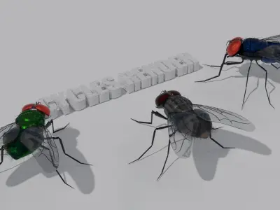 Flies for blender Low-poly 3D model