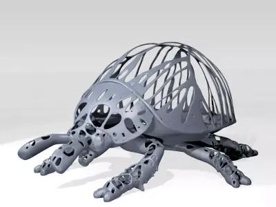 Ladybird Dust Voronoi 3D model