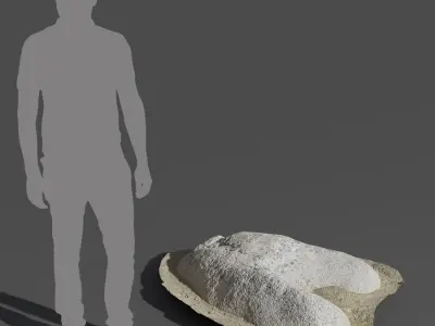  Small Smooth Horseshoe Beach Rock Model 