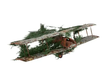 Damaged Rusted Aircraft 3D model