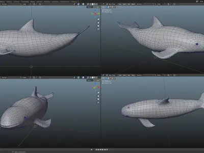 Vaquita Low-poly 3D model
