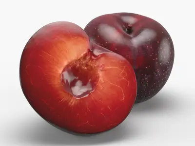 Plum 01 3D model