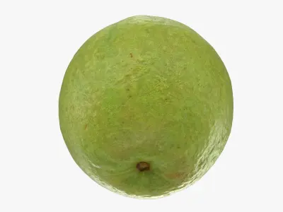 Whole Pink Guava 3D model