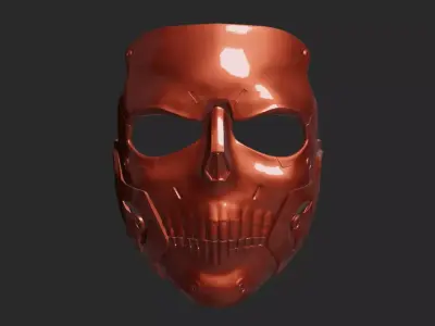Skull DS Mask 3D print model