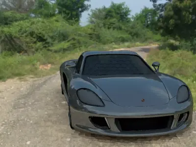 PORCHE Carera GT Free 3D model