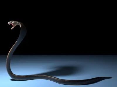 Snake cobra Free low-poly 3D model