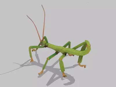 Stick insect Low-poly 3D model