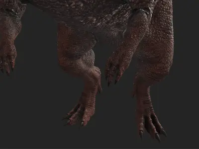 Carnotarus  Dinosaur 3D Model  3D model