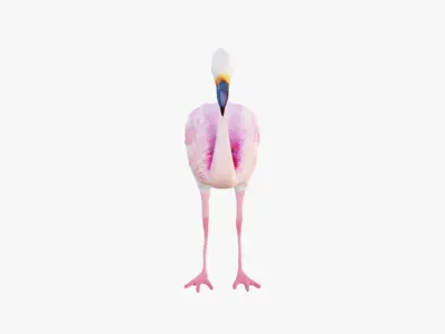Flamingo Free 3D model