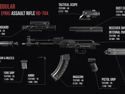 Tactical modular assault rifle  Rifle Dynamics 704  AK system  Low-poly 3D model