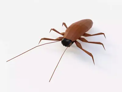 Cockroach 3d model Low-poly 3D model