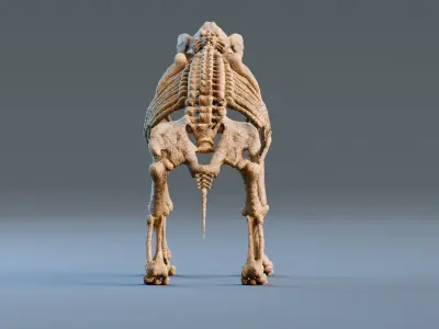 Relistic Mammals Fossil - Diprotodon Low-poly 3D model