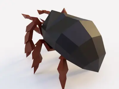 Beetle insect 3d model  Low-poly 3D model