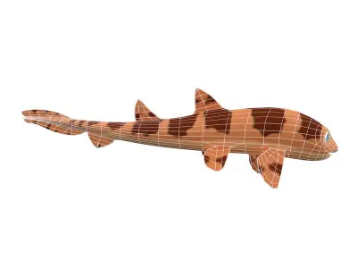 White Spotted Bamboo Shark Animated Fish  Low-poly 3D model