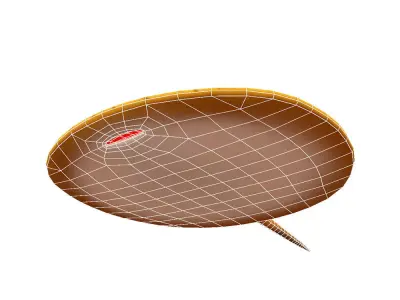 Motoro Stingray fish animated Low-poly 3D model