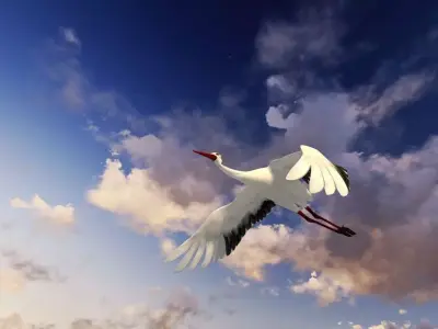 Stork animation Low-poly 3D model