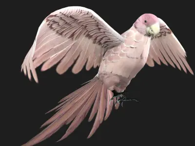 Parrot A9 3D model