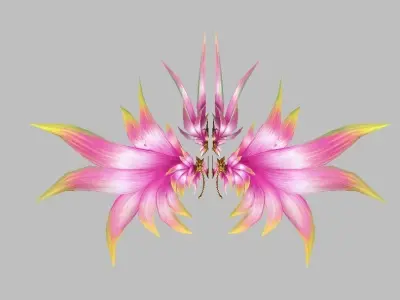 Pink Wing Low-poly 3D model
