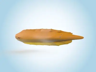 Eel Fish 3D model