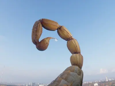 Scorpion Tail Low-poly 3D model