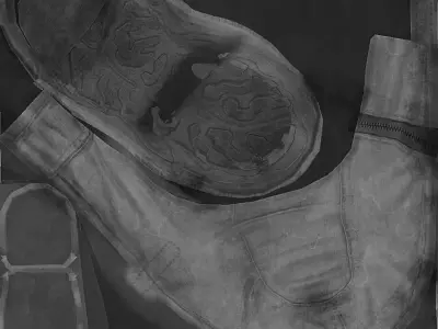 jianzhu x - ray of pair of shoes Free 3D model