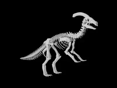 Parasaurolophus skeleton Low-poly 3D model