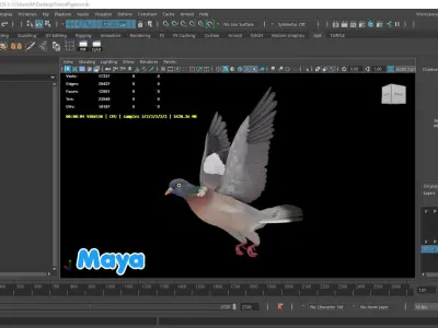 Realistic Animated Wood Pigeon Low-poly 3D model