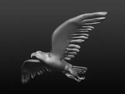 bald eagle 3D model