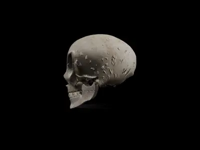 Alien low poly game ready Skull Low-poly 3D model