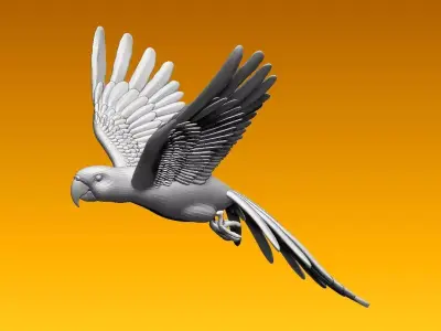 parrot flying in air 3D model