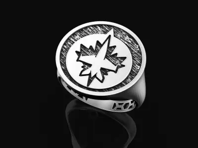 Winnipeg Jets Ring Fan Rings NHL Hockey Rings 3D print model