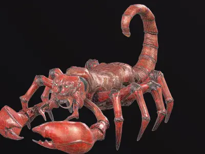 Low-poly model Scorpion Low-poly 3D model