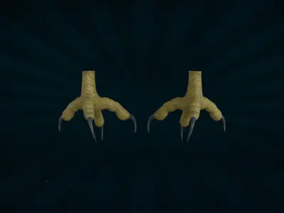 FOOT-005 Rigged Bird Foot Low-poly 3D model