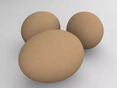 Chicken Eggs 3D model
