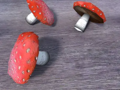 low poly mushrooms pack Low-poly 3D model