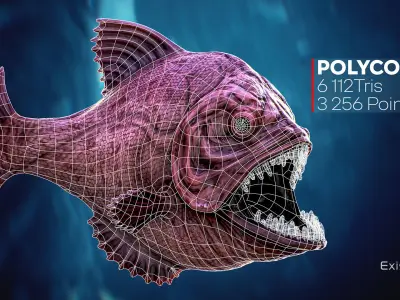 The Piranha Fish - Ocean predator - Pirana 3d model - 10 Low-poly 3D model