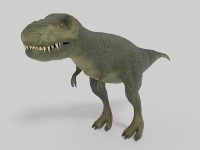 3D T-Rex Model t - rex dinosaur Low-poly 3D model