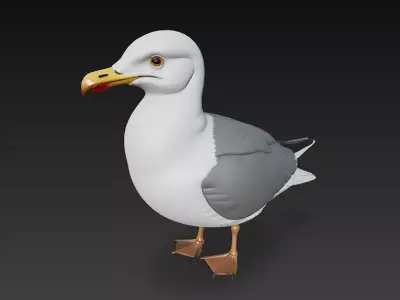 Seagull Realistic 3D Model Basic - Low Poly Realistic Low-poly 3D model