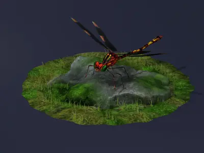 Dragonflies ants beneficial insects realistic arthropod insects 3D model